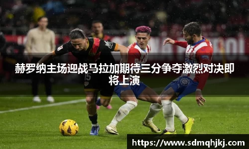 球速体育平台